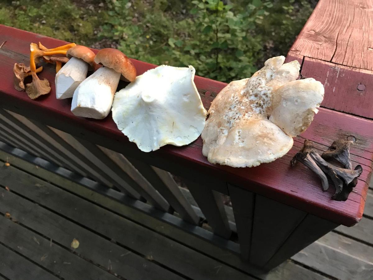 Suvituuli | Paajoen Vuokramoekit Villa Himos Bagian luar foto