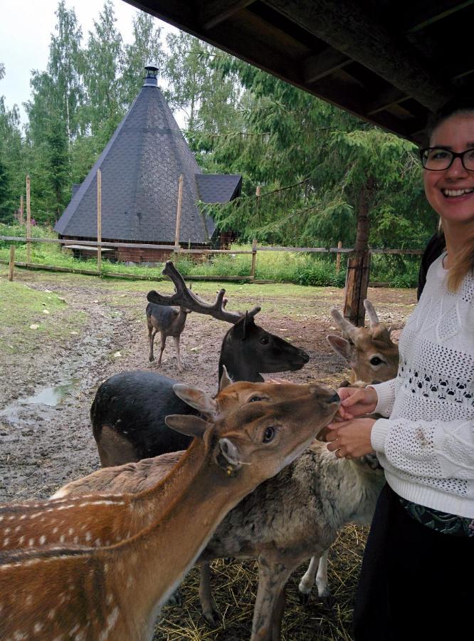 Suvituuli | Paajoen Vuokramoekit Villa Himos Bagian luar foto